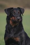 BEAUCERON 974